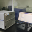 实时荧光定量PCR